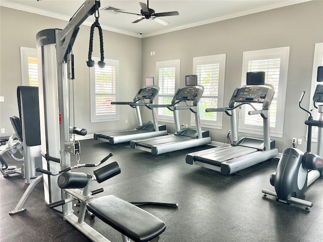 11826 Sky Acres Ter, Bradenton, FL 34211 - gym featuring ornamental molding and ceiling fan