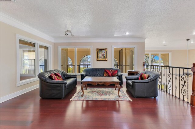 2910 Frontier Dr, Kissimmee, FL 34744 - living room featuring a textured ceiling, ornamental molding, and wood finished floors