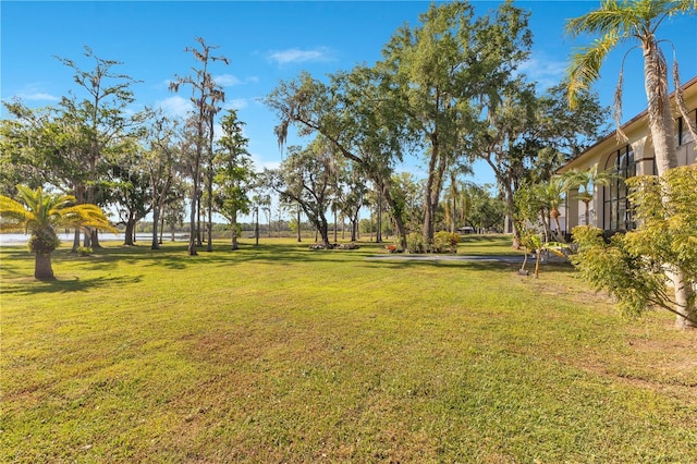 2910 Frontier Dr, Kissimmee, FL 34744 - view of yard