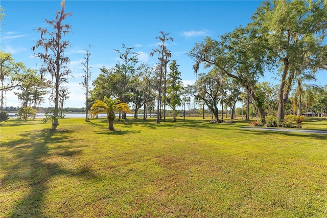 2910 Frontier Dr, Kissimmee, FL 34744 - view of yard featuring a water view