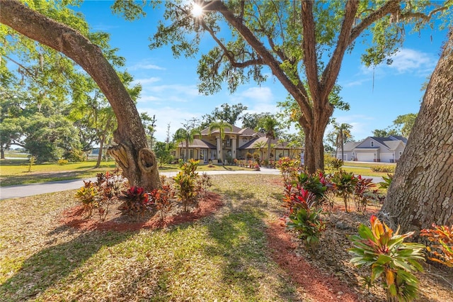 2910 Frontier Dr, Kissimmee, FL 34744 - view of yard