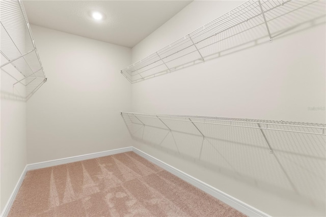 13231 Panama Beach Ct, Orlando, FL 32827 - walk in closet featuring carpet flooring