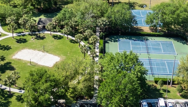 bird's eye view