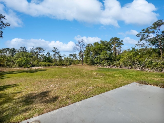 view of yard featuring a patio
