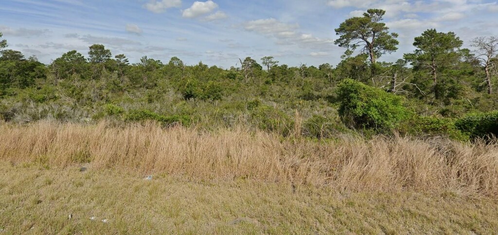 239 Sandpiper St, Lake Placid, FL 33852 - photo 1