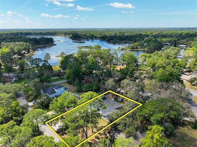 bird's eye view featuring a view of trees and a water view