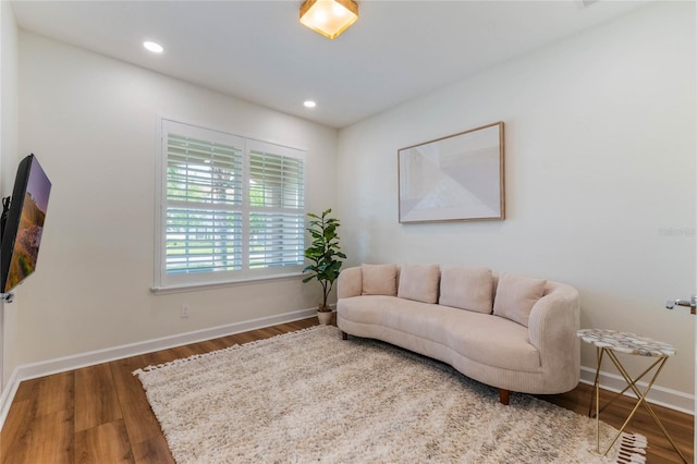 11826 Fiore Dr, Orlando, FL 32827 - living area featuring baseboards, wood finished floors, and recessed lighting