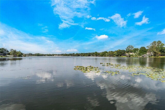 201 Cedarwood Dr, Maitland, FL 32751 - view of water feature