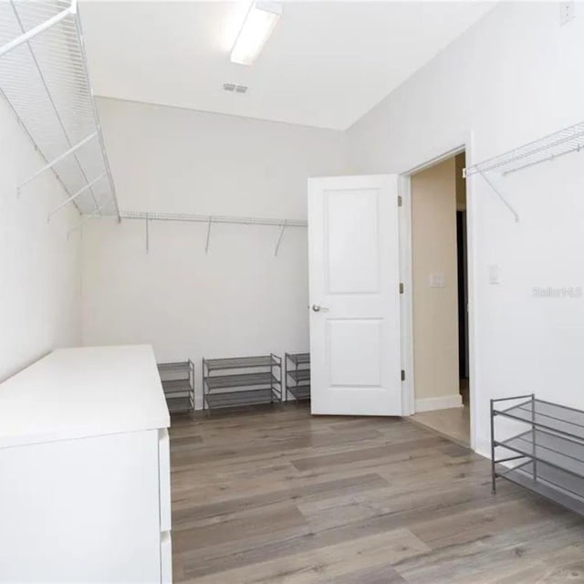 14711 Winter Stay Dr, Winter Garden, FL 34787 - walk in closet featuring light wood-style floors