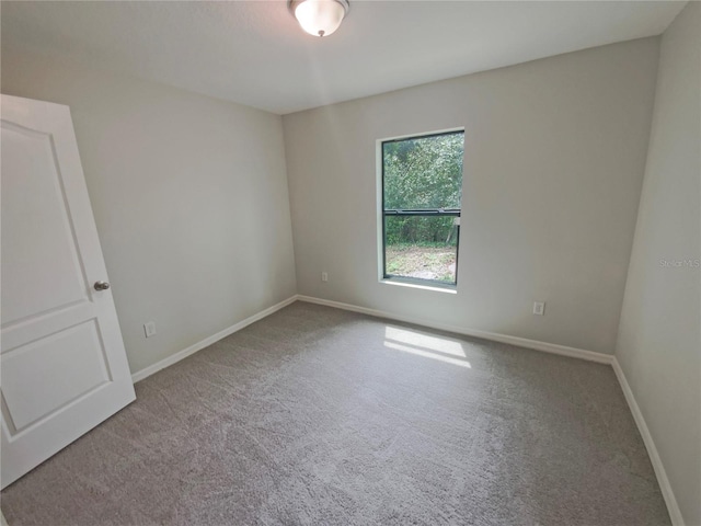 27118 Fernery Ave, Brooksville, FL 34602 - photo 13