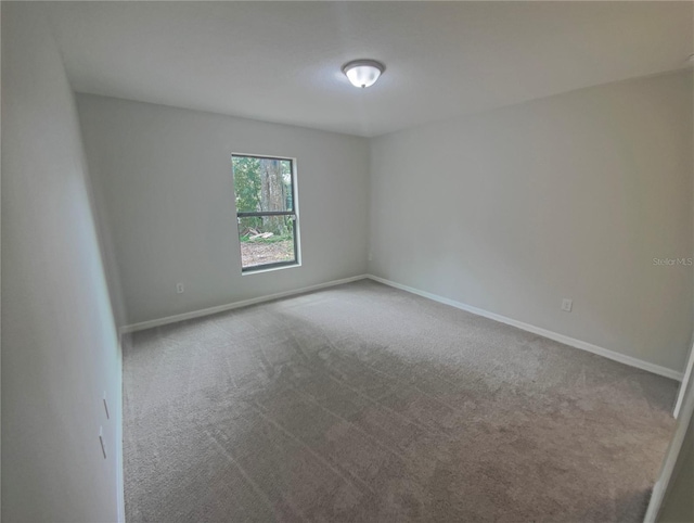 27118 Fernery Ave, Brooksville, FL 34602 - photo 19