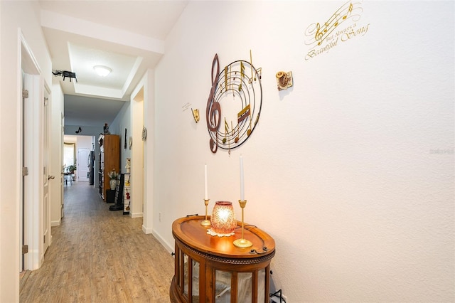 2289 Aloe Aly, Apopka, FL 32703 - corridor featuring light wood finished floors and baseboards