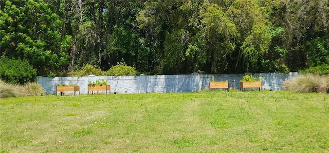 2289 Aloe Aly, Apopka, FL 32703 - view of yard