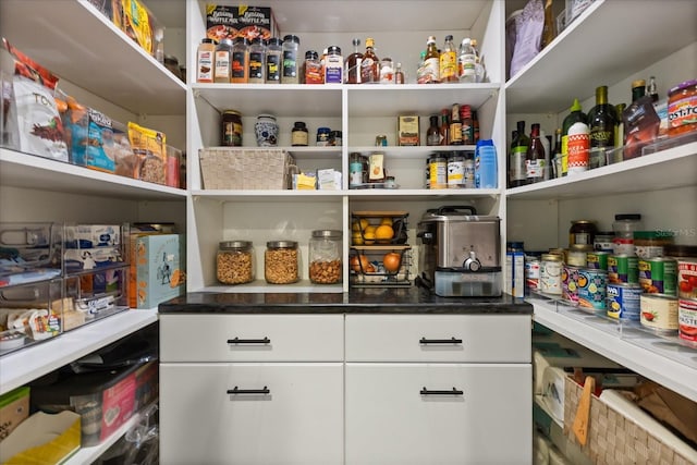 7849 Georgeann St, Winter Park, FL 32792 - view of pantry