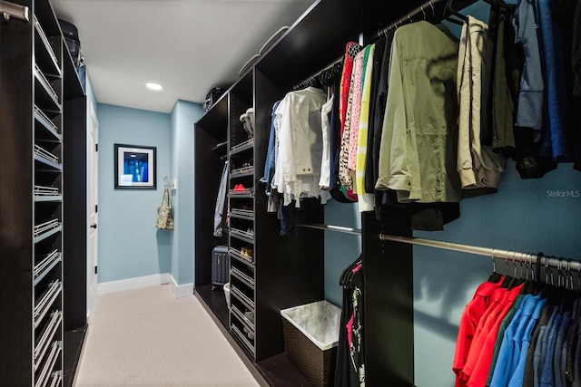 7849 Georgeann St, Winter Park, FL 32792 - view of spacious closet