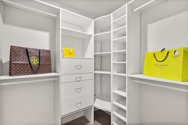7849 Georgeann St, Winter Park, FL 32792 - view of walk in closet