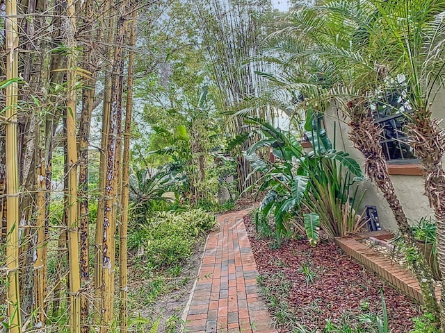410 Sandspur Rd N, Maitland, FL 32751 - view of yard