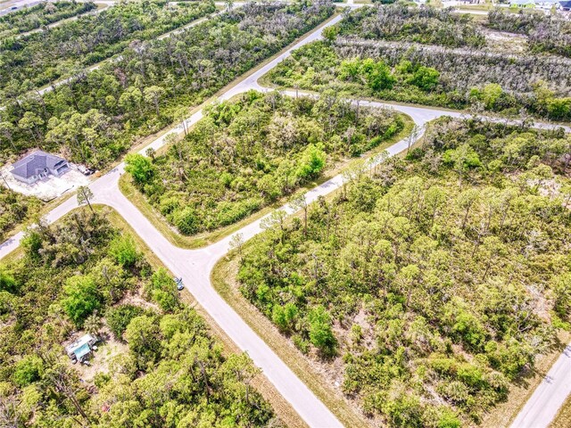 15204 Plant Ave, Port Charlotte, FL 33953