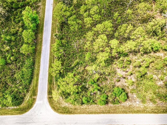 15204 Plant Ave, Port Charlotte, FL 33953