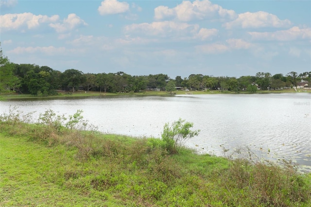view of water feature