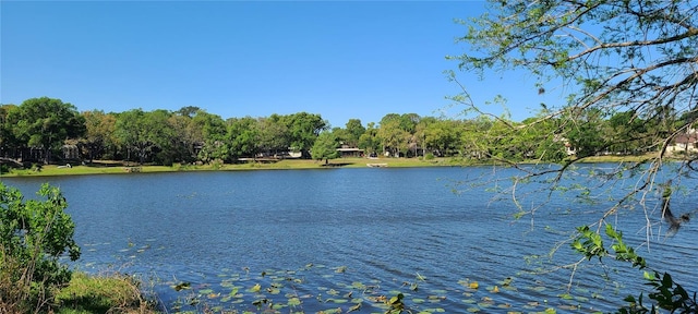 property view of water