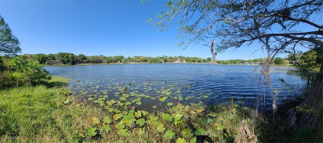 858 Lake Marion Dr, Altamonte Springs, FL 32701 - water view