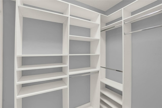 view of spacious closet