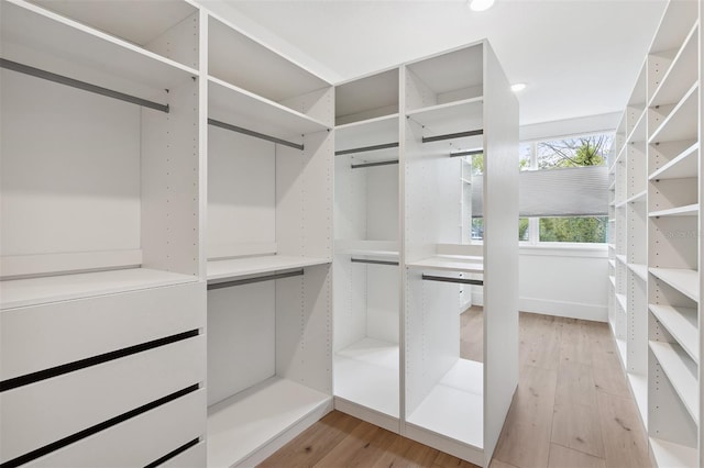 2408 Lafayette Ave, Winter Park, FL 32789 - walk in closet with light wood-style floors