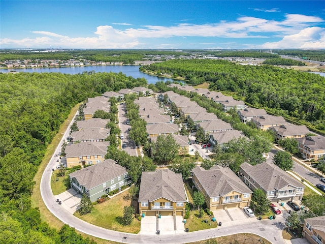 10852 Spider Lily Dr Unit S, Orlando, FL 32832 - aerial view of residential area with a nearby body of water and a heavily wooded area