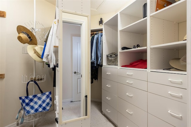 view of spacious closet