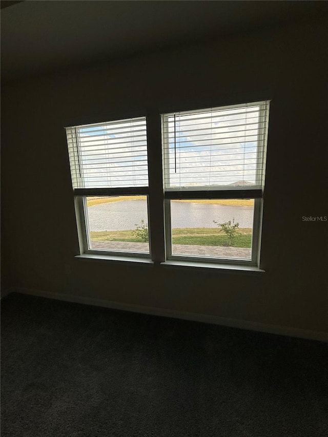 8243 Fenton St, Orlando, FL 32836 - carpeted empty room with baseboards