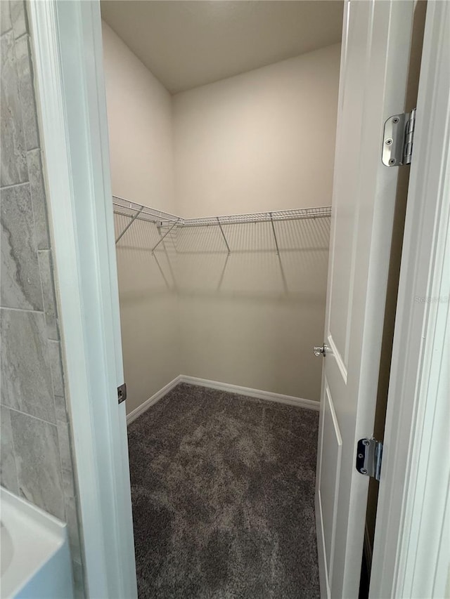 8243 Fenton St, Orlando, FL 32836 - walk in closet featuring carpet