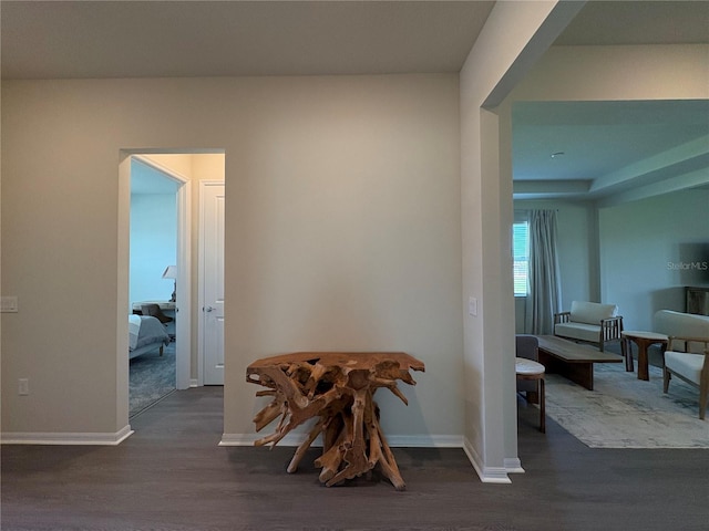 8243 Fenton St, Orlando, FL 32836 - corridor featuring wood finished floors and baseboards