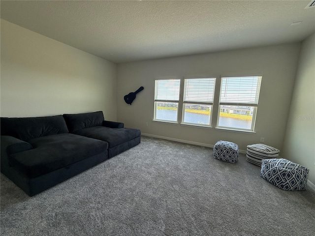 8243 Fenton St, Orlando, FL 32836 - carpeted living area with a textured ceiling and baseboards