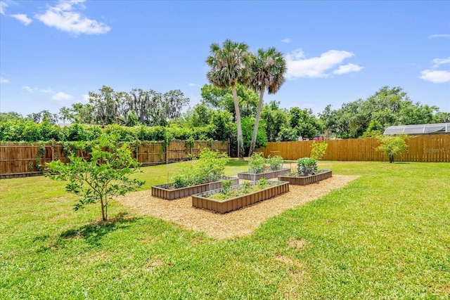 1558 Regal Oak Dr, Kissimmee, FL 34744 - view of yard with a fenced backyard and a vegetable garden