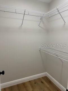 spacious closet with wood finished floors