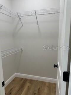 walk in closet featuring wood finished floors