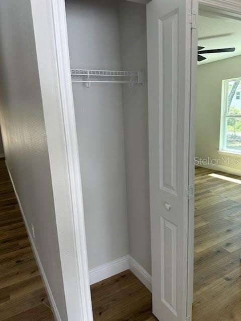 view of closet
