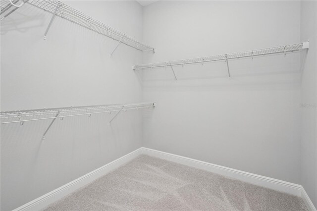 7031 Billie Ct, Winter Garden, FL 34787 - photo 22
