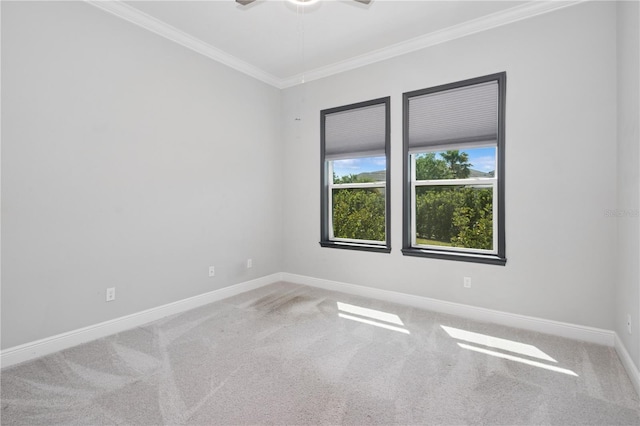 7031 Billie Ct, Winter Garden, FL 34787 - photo 30