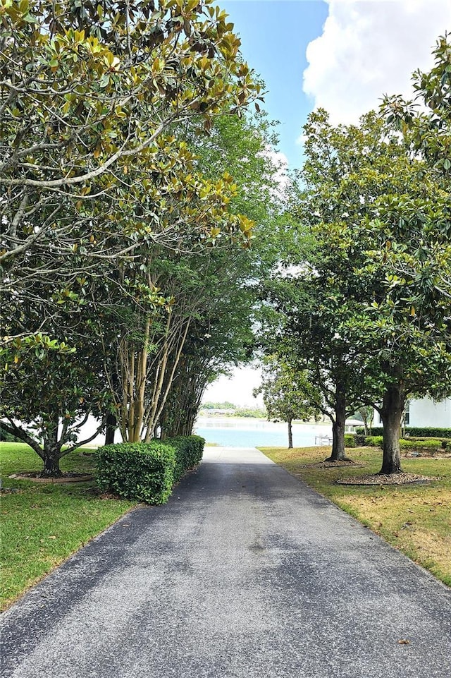 12706 Magnolia Bay Blvd, Clermont, FL 34711 - view of street featuring a water view