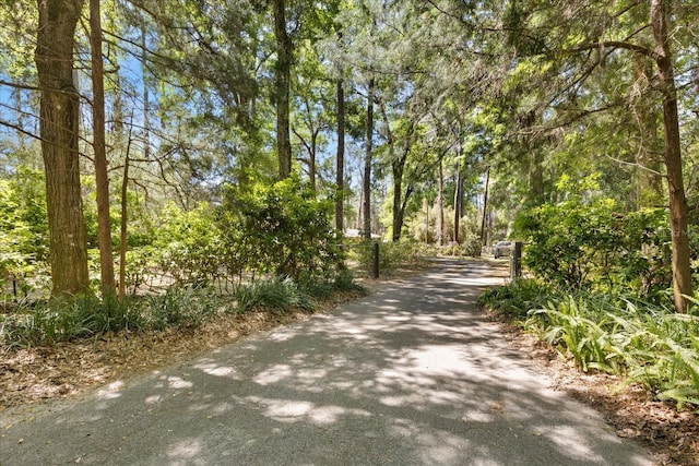 11160 SE 47th Ave, Belleview, FL 34420 - view of road