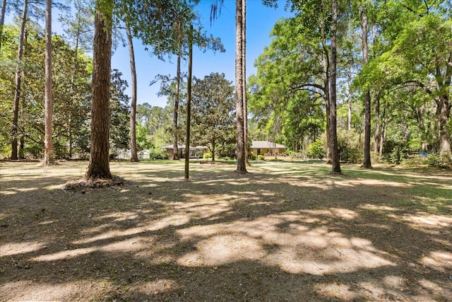 11160 SE 47th Ave, Belleview, FL 34420 - view of yard
