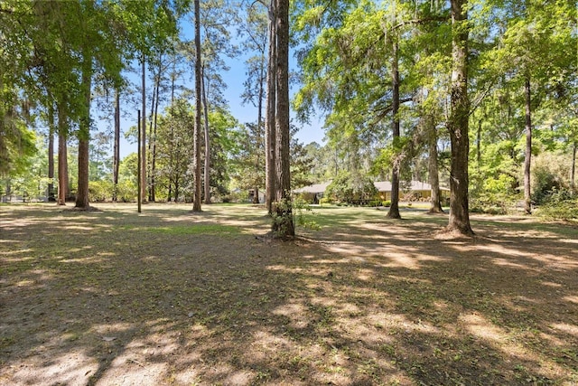 11160 SE 47th Ave, Belleview, FL 34420 - view of yard