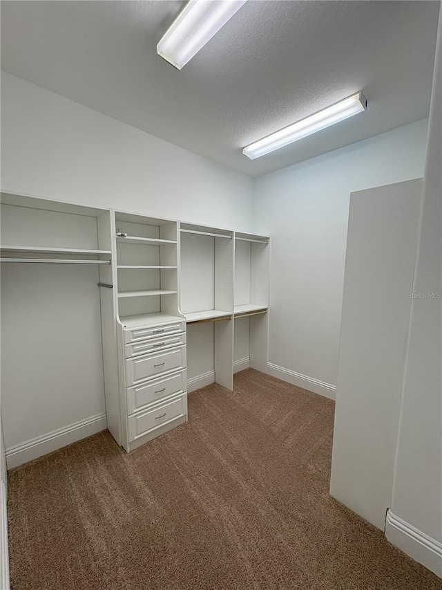 walk in closet featuring carpet floors