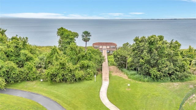 2724 Westyn Cove Ln, Ocoee, FL 34761 - drone / aerial view of a nearby body of water