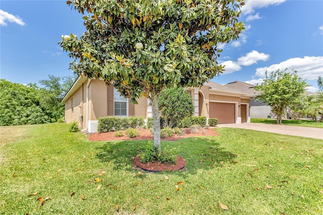 2724 Westyn Cove Ln, Ocoee, FL 34761 - photo 5