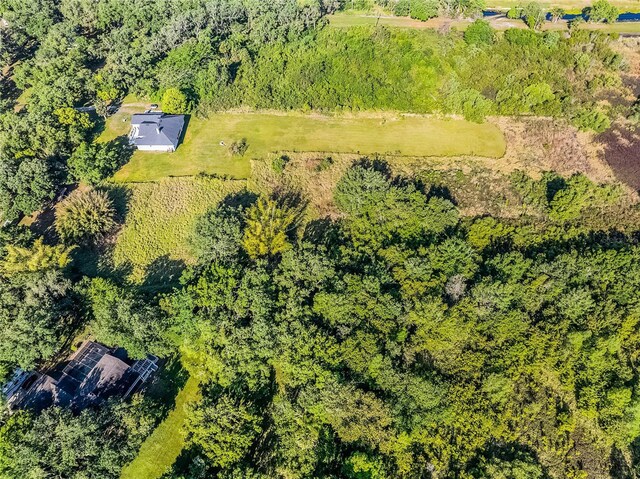 Harbor Rd, Kissimmee, FL 34746 - photo 9