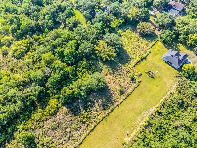 Harbor Rd, Kissimmee, FL 34746 - photo 12