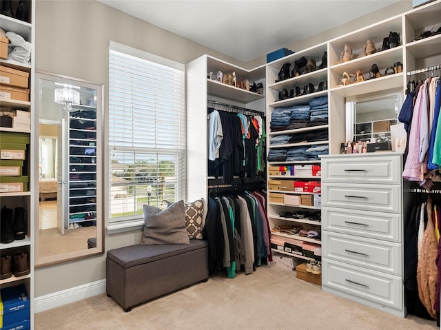 spacious closet with carpet flooring and a chandelier